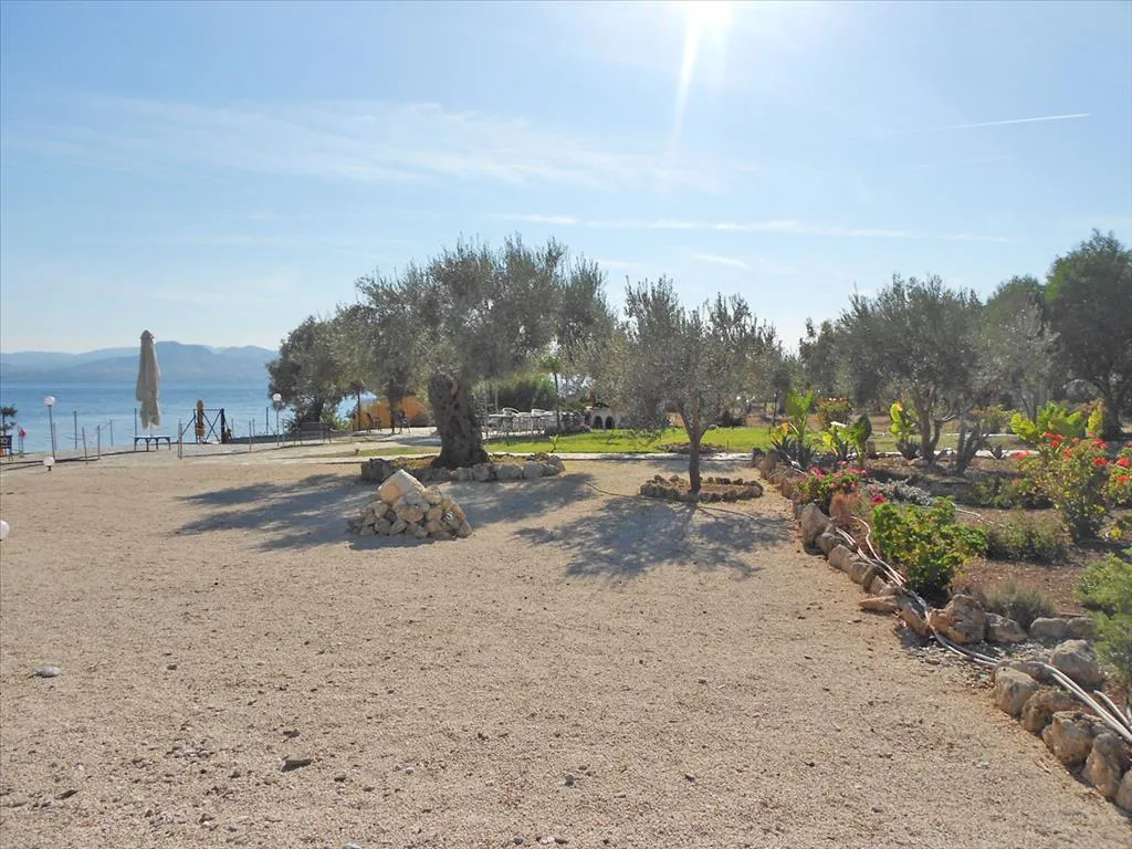 Other .. 400m²  - 4