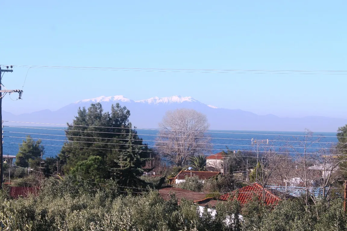 Οικόπεδο 200τ.μ.  - 3