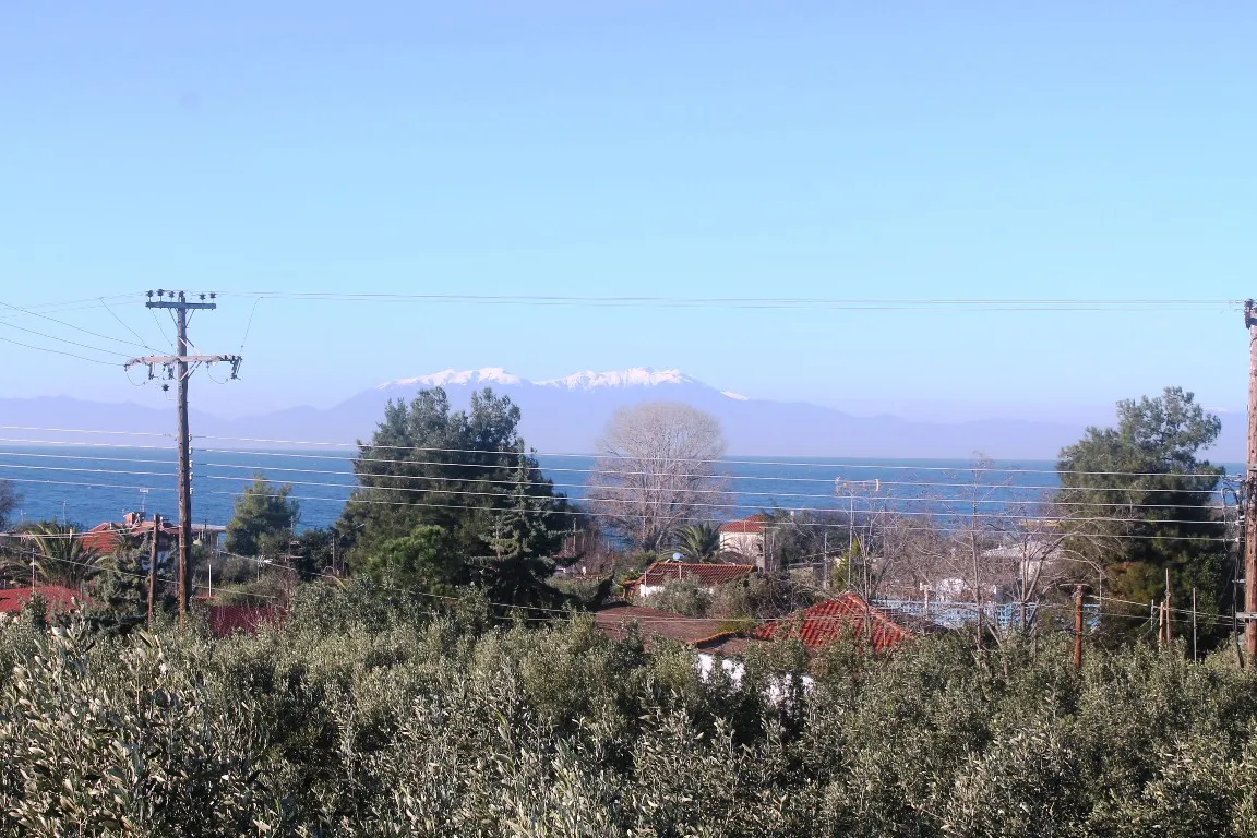 Οικόπεδο 200τ.μ.  - 4
