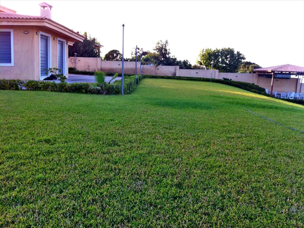 Detached house 550m²  - 5