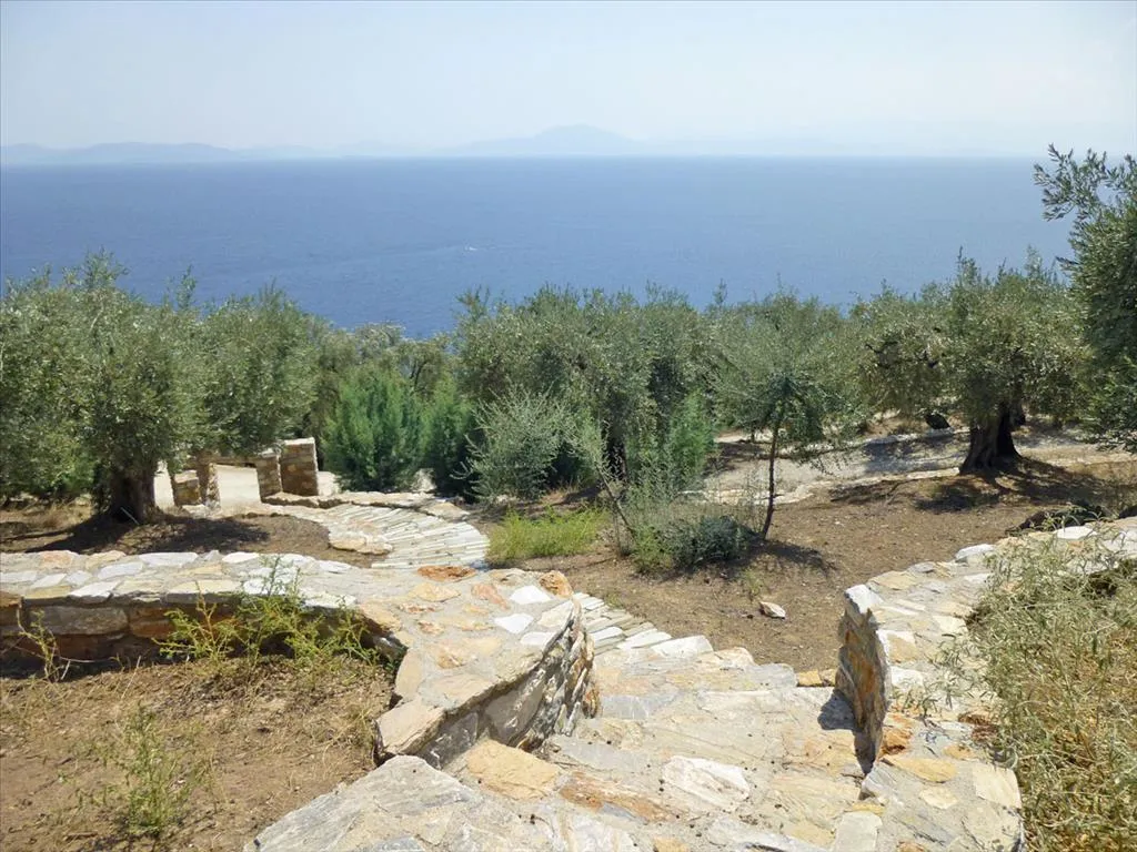 Μονοκατοικία 270τ.μ.  - 2