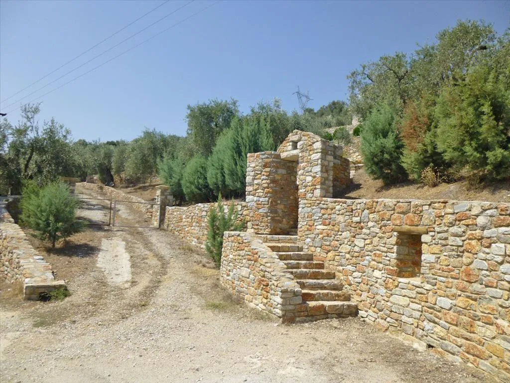 Μονοκατοικία 270τ.μ.  - 4