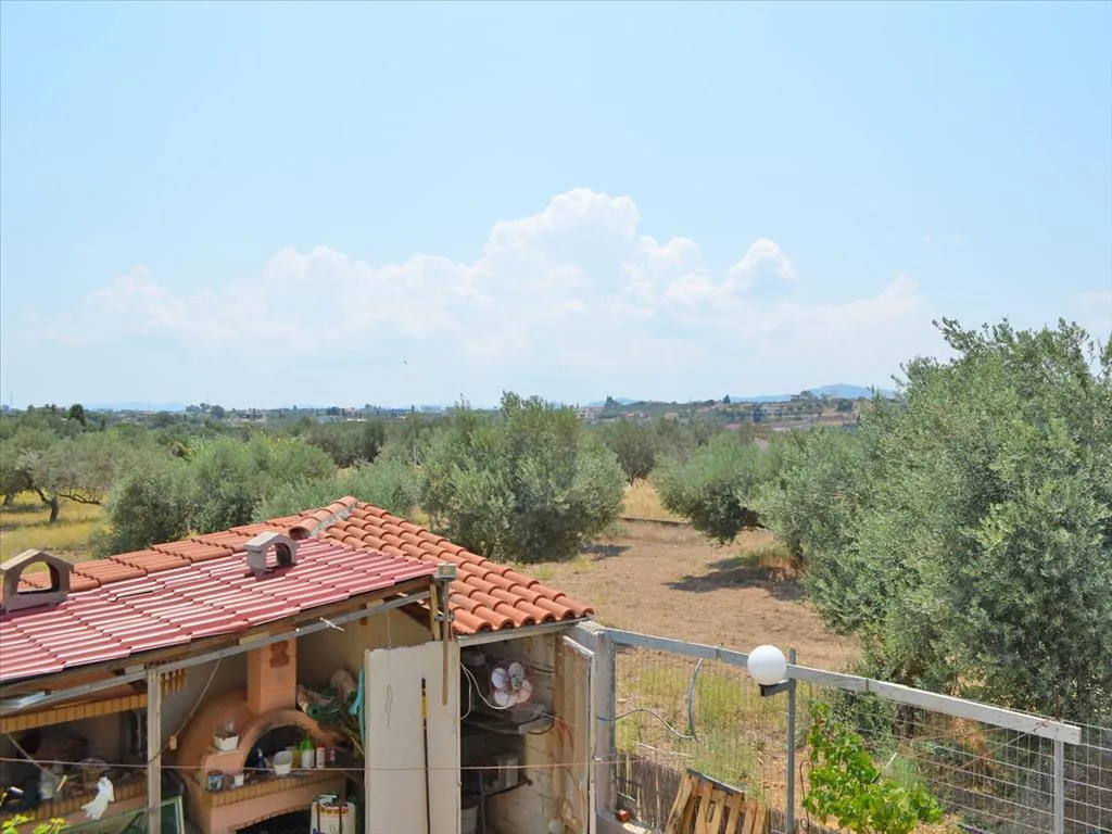 Other .. 486m²  - 3