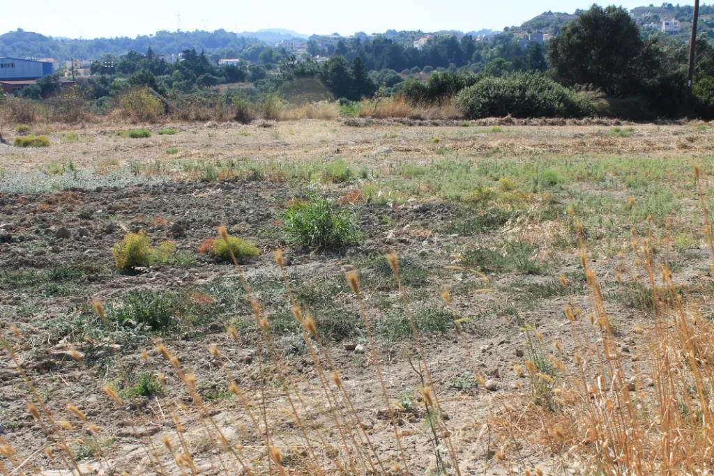 Plot 35260m²  - 2
