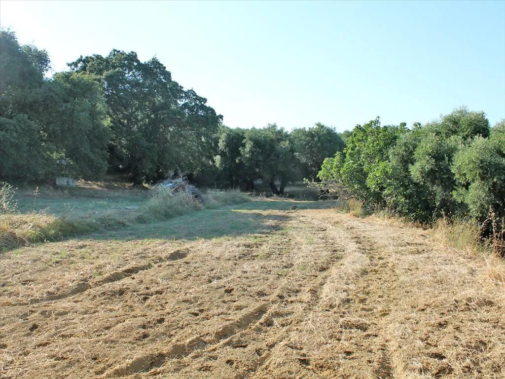 Plot 4500m²  - 5