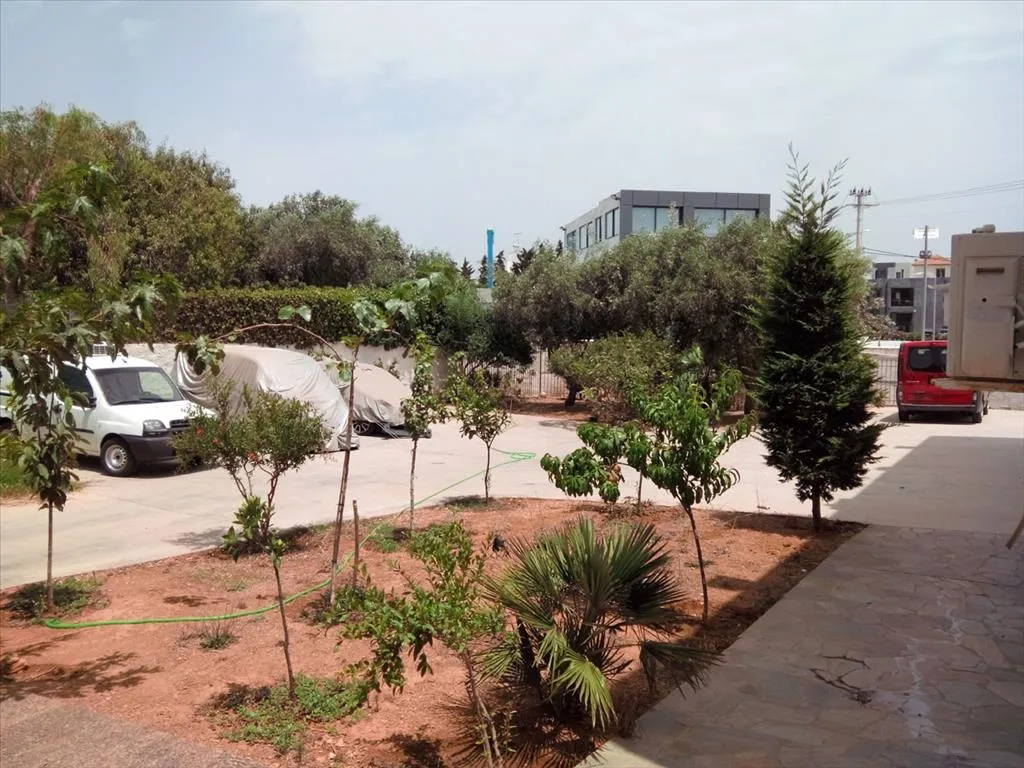 Other .. 880m²  - 5