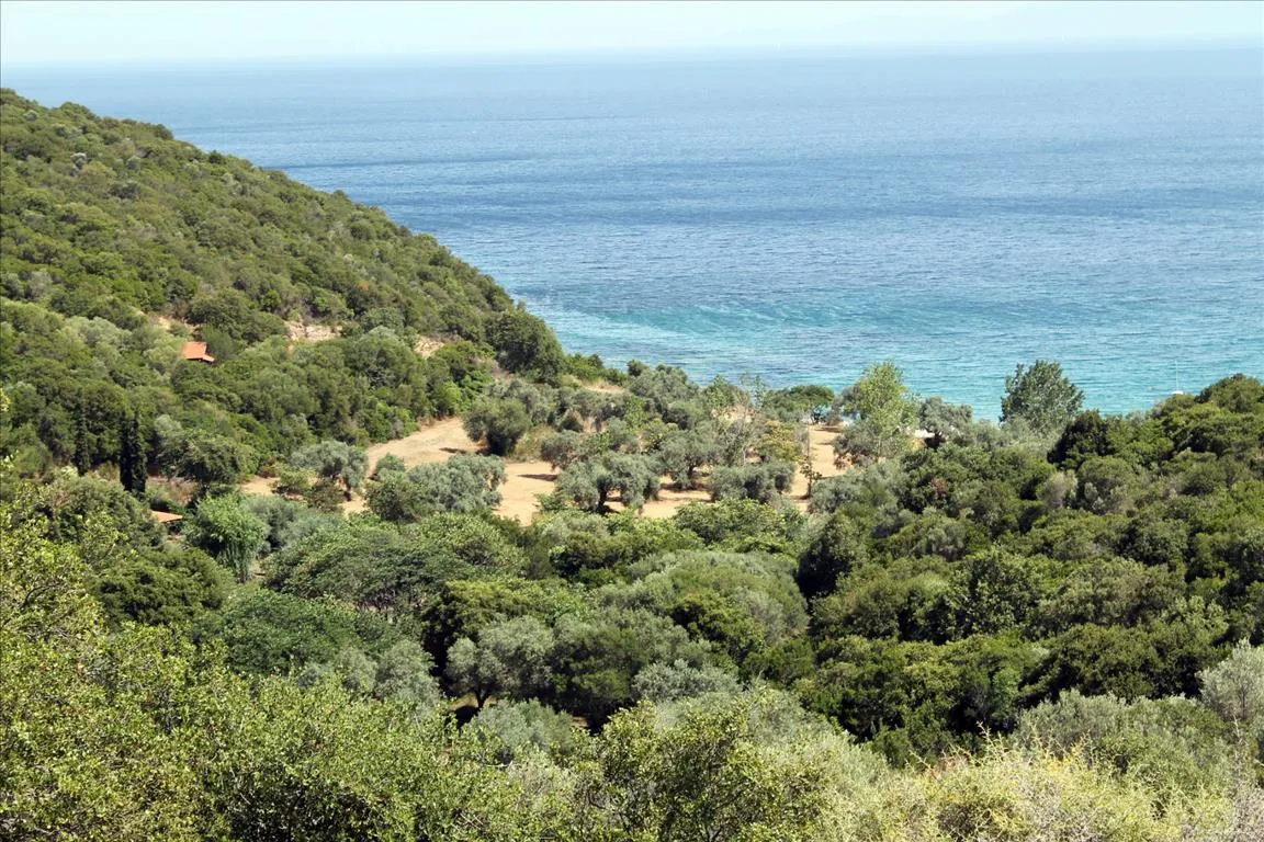 Οικόπεδο 8620τ.μ.  - 2