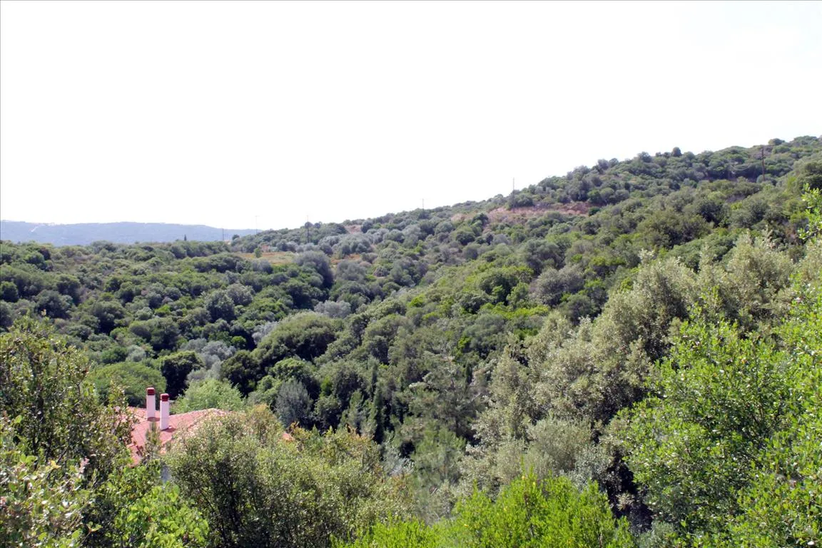 Οικόπεδο 8620τ.μ.  - 4