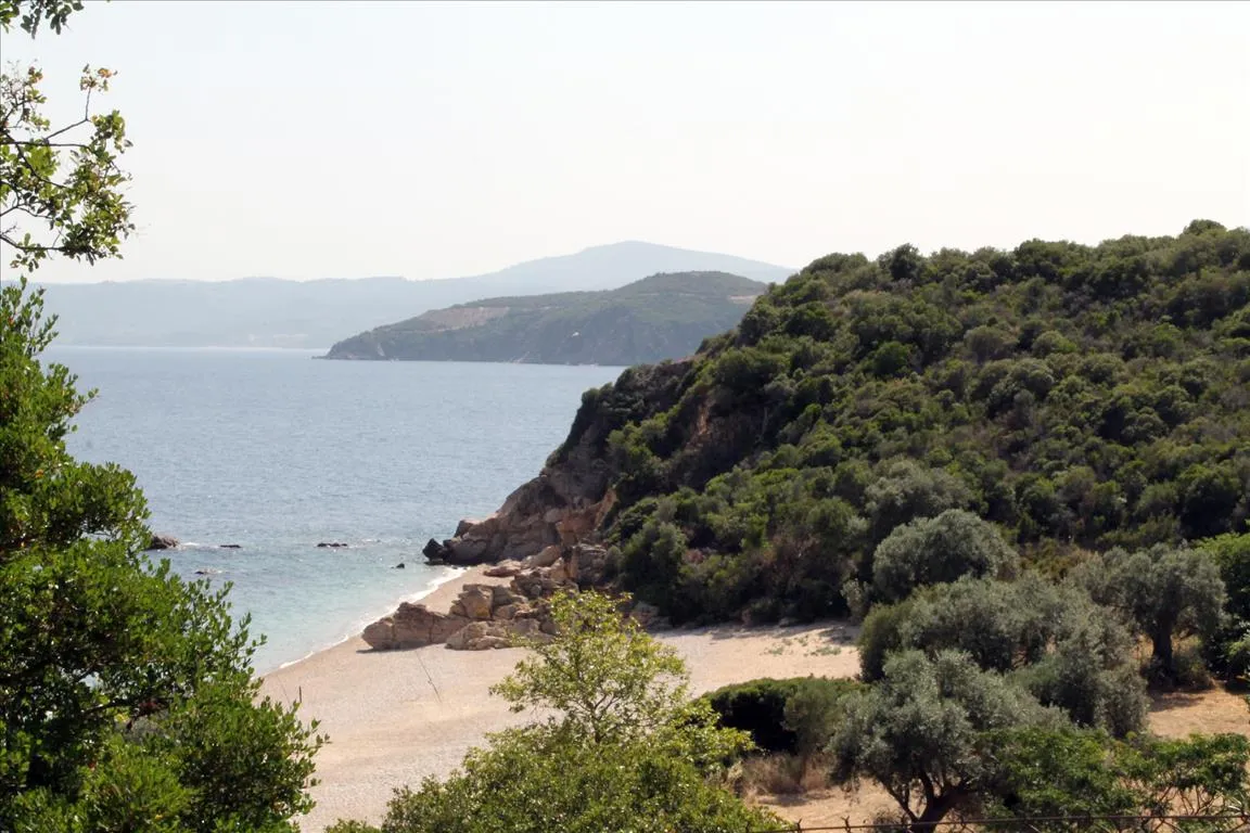 Οικόπεδο 8620τ.μ.  - 5