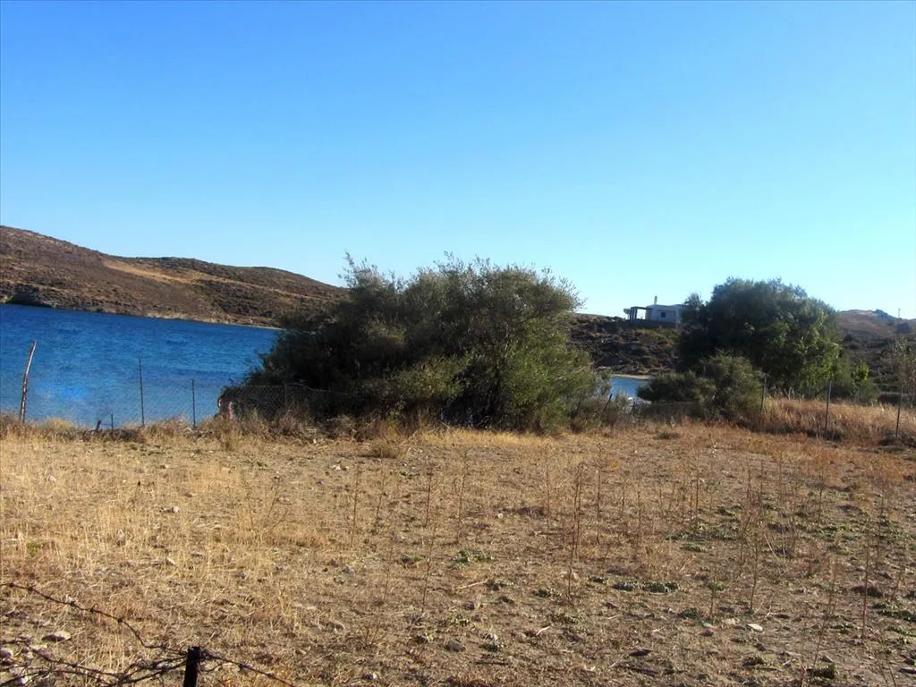 Plot 2000m²  - 2