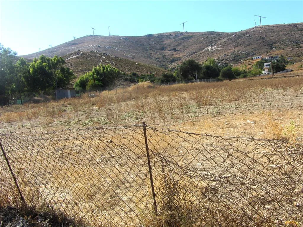 Plot 2000m²  - 3