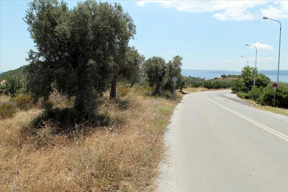 Οικόπεδο 5568τ.μ.  - 3
