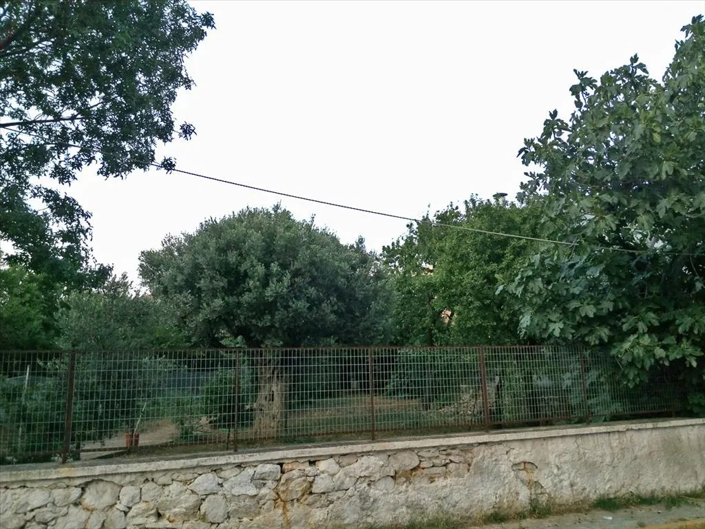 Μονοκατοικία 180τ.μ.  - 5