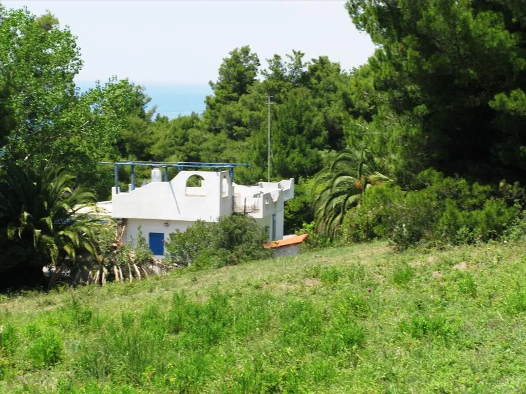 Οικόπεδο 6500τ.μ.  - 3