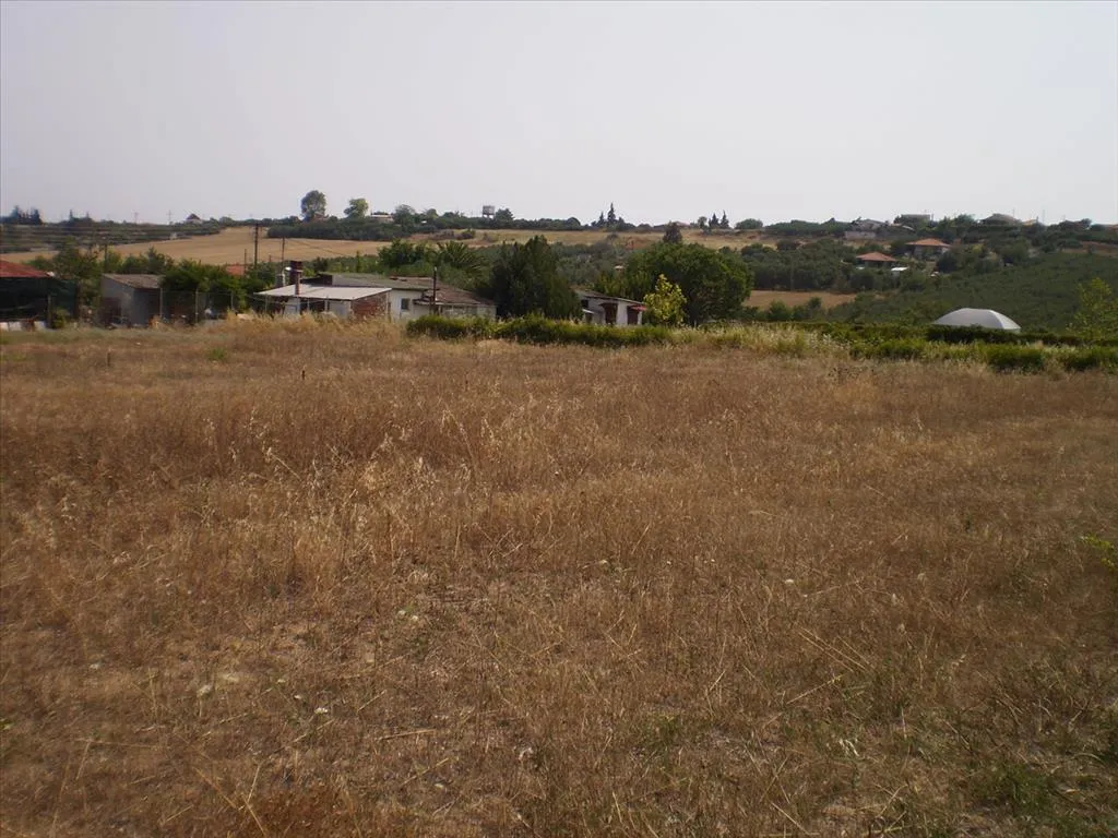 Οικόπεδο 1691τ.μ.  - 4