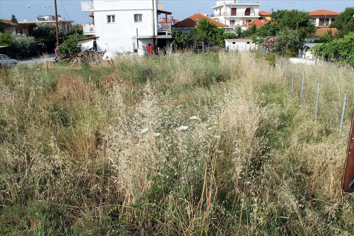 Οικόπεδο 700τ.μ.  - 3