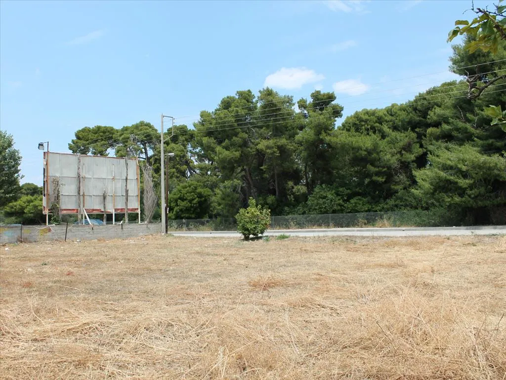 Οικόπεδο 1400τ.μ.  - 2