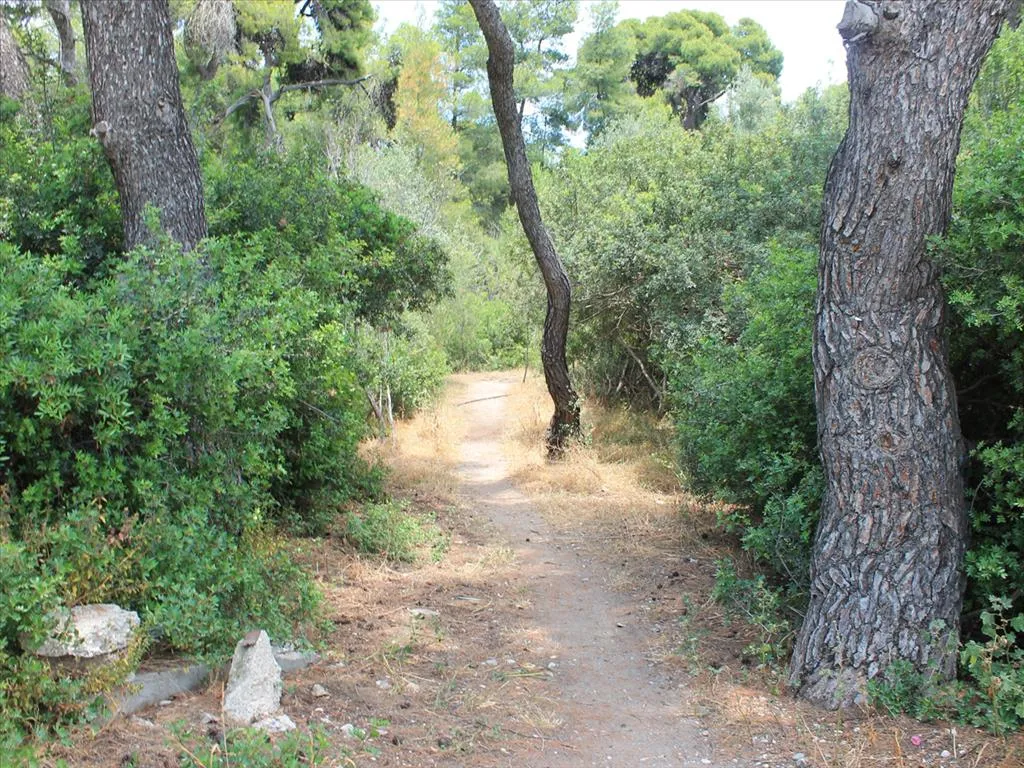 Οικόπεδο 1400τ.μ.  - 4