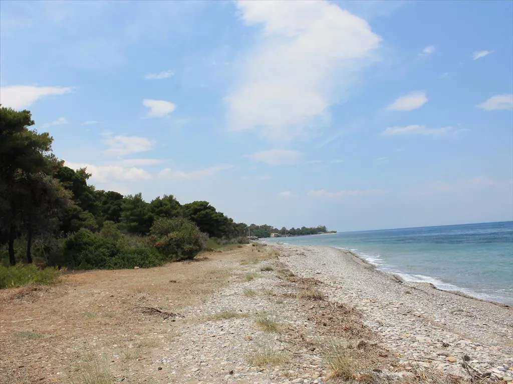 Οικόπεδο 1400τ.μ.  - 5