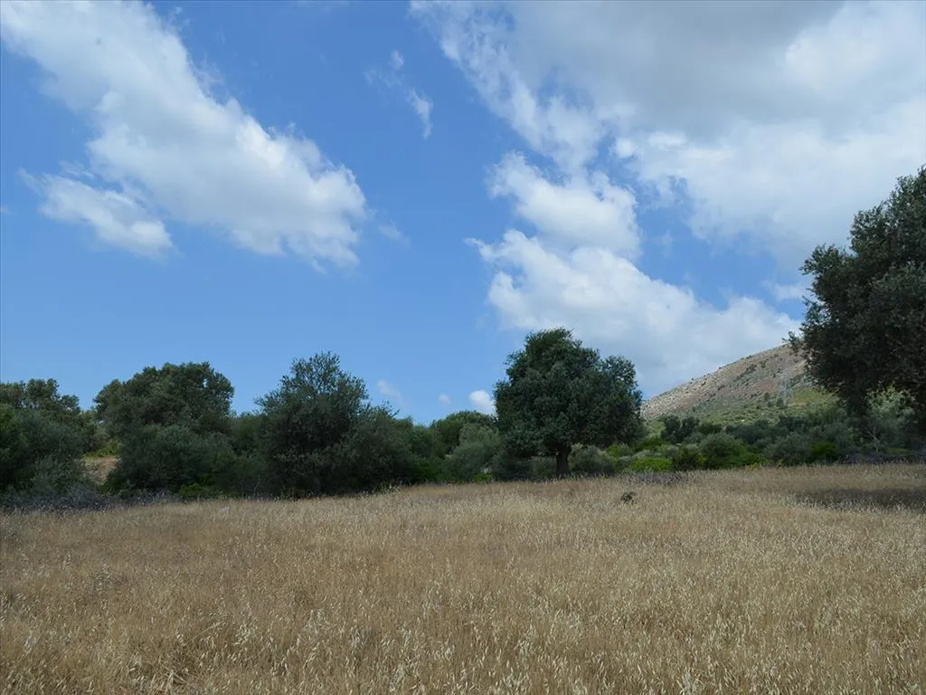 Plot 45000m²  - 2