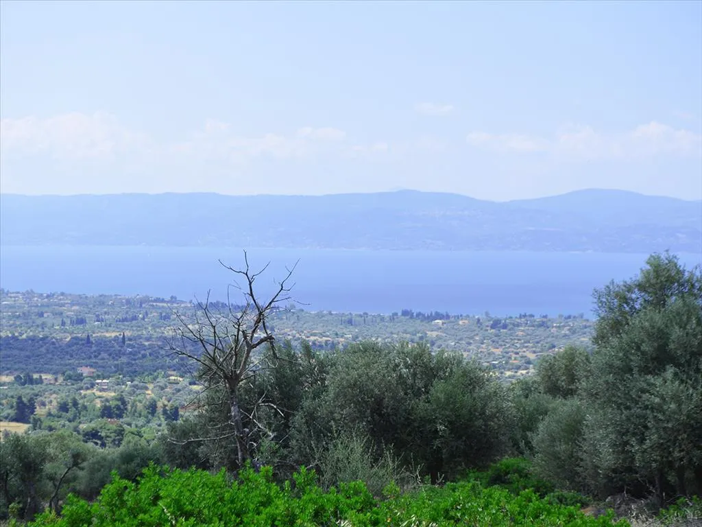 Plot 45000m²  - 3
