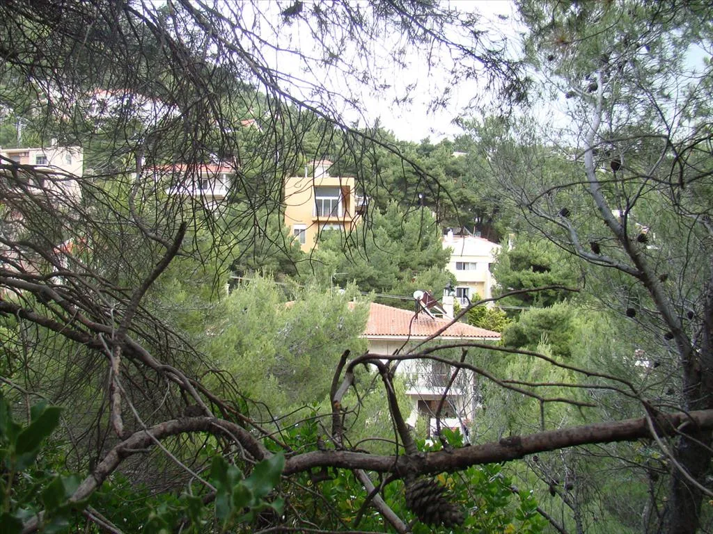 Μονοκατοικία 400τ.μ.  - 4