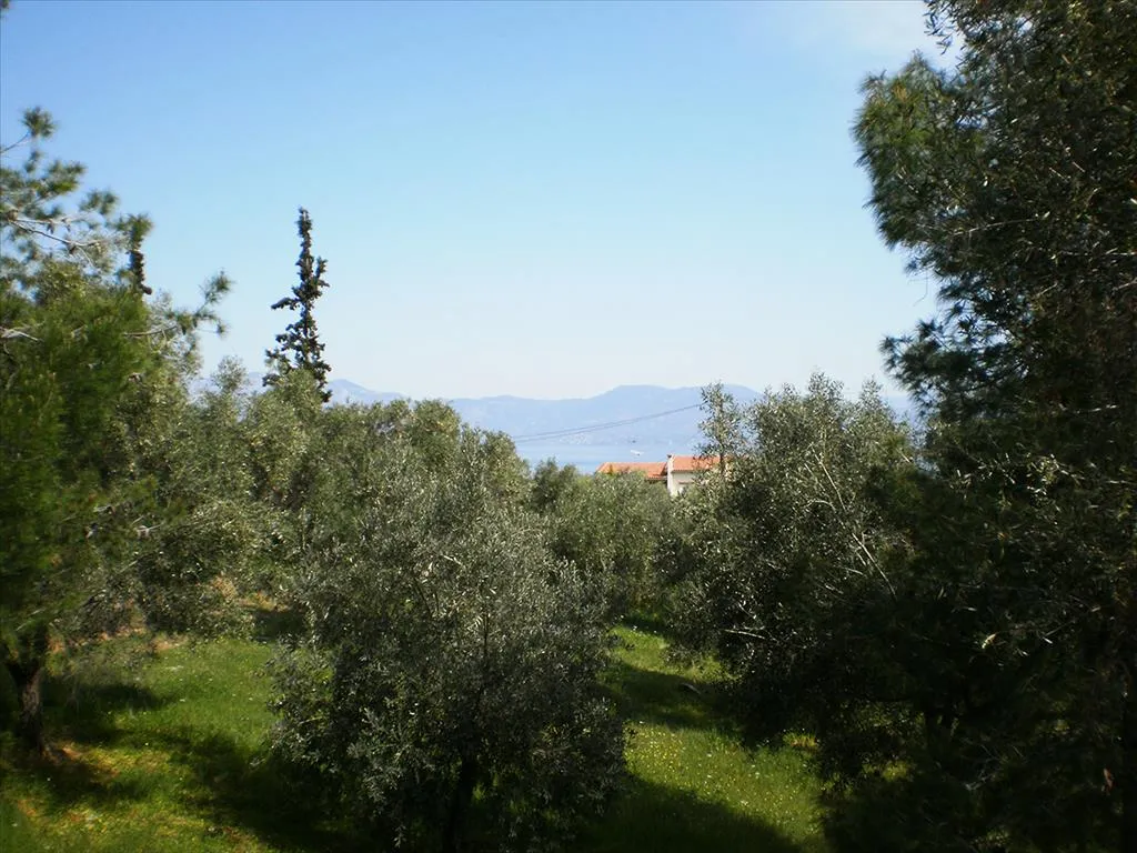 Detached house 89m²  - 2