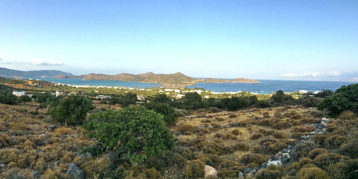 Οικόπεδο 8200τ.μ.  - 2