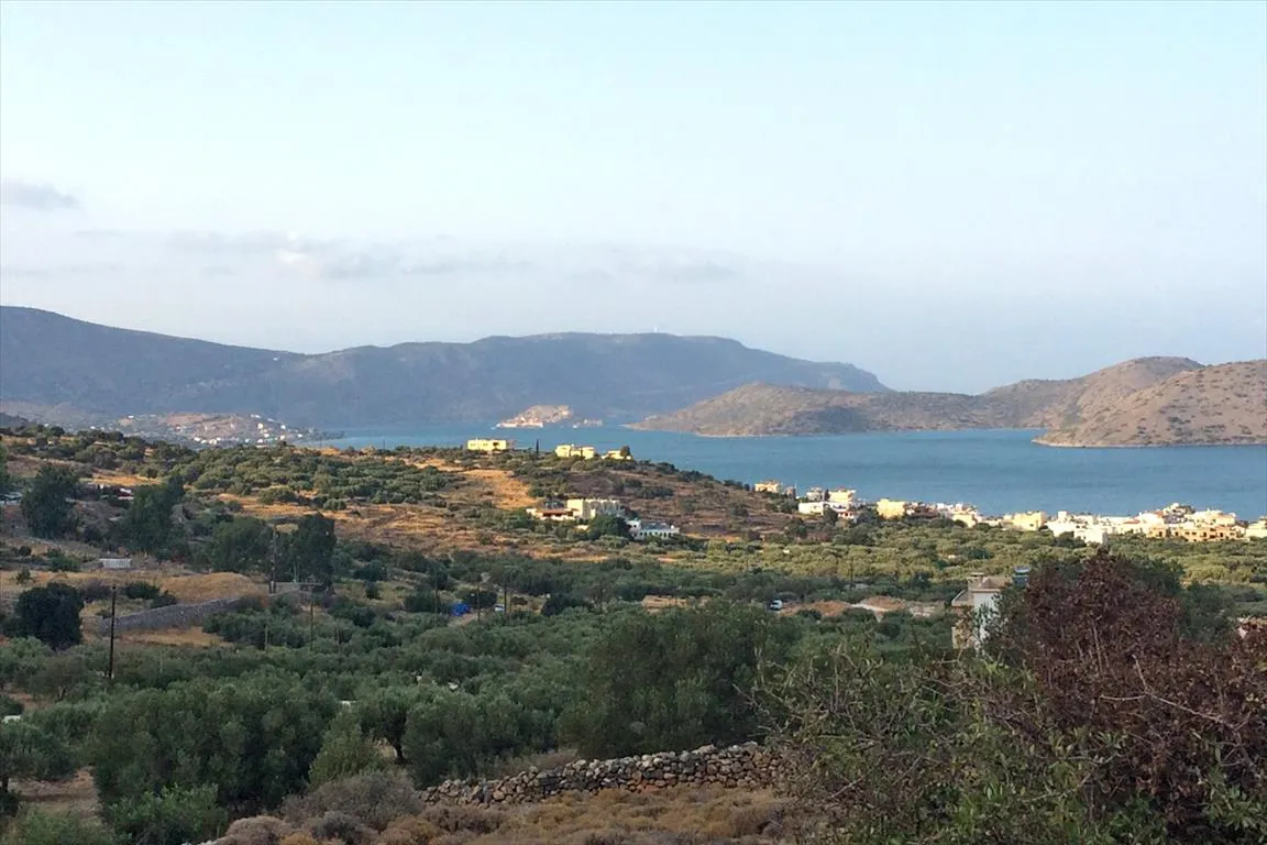 Οικόπεδο 8200τ.μ.  - 3