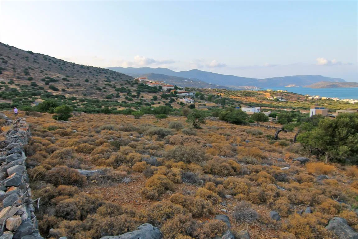 Οικόπεδο 8200τ.μ.  - 5