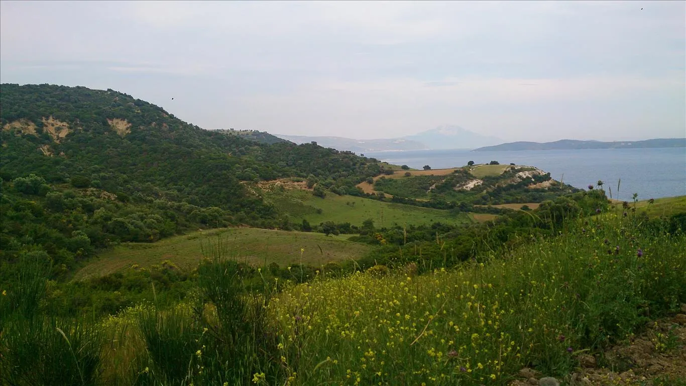 Οικόπεδο 11300τ.μ.  - 3