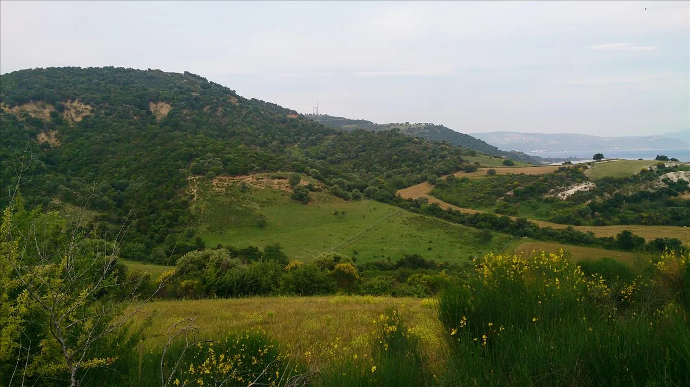Οικόπεδο 11300τ.μ.  - 4