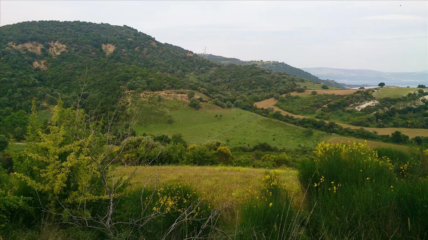 Οικόπεδο 11300τ.μ.  - 5