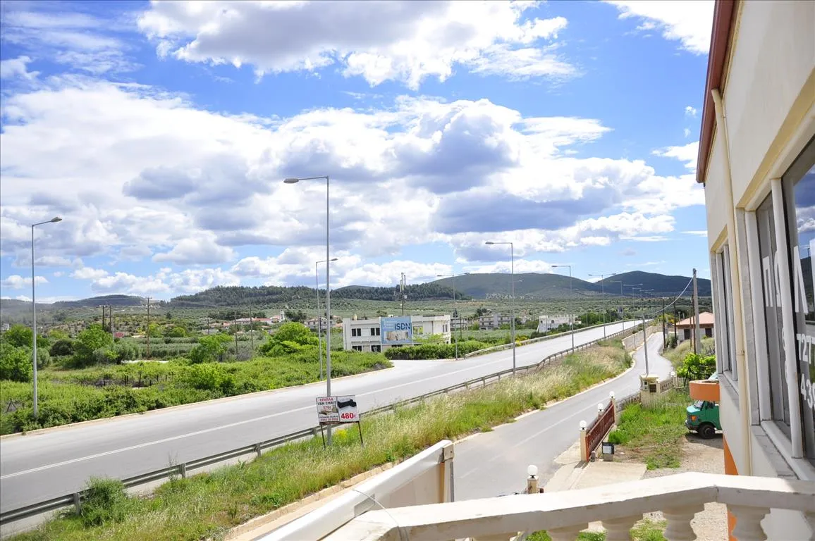 Άλλο.. 1250τ.μ.  - 4