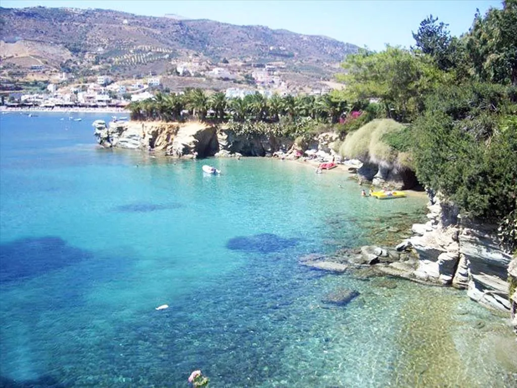 Οικόπεδο 75000τ.μ.  - 4