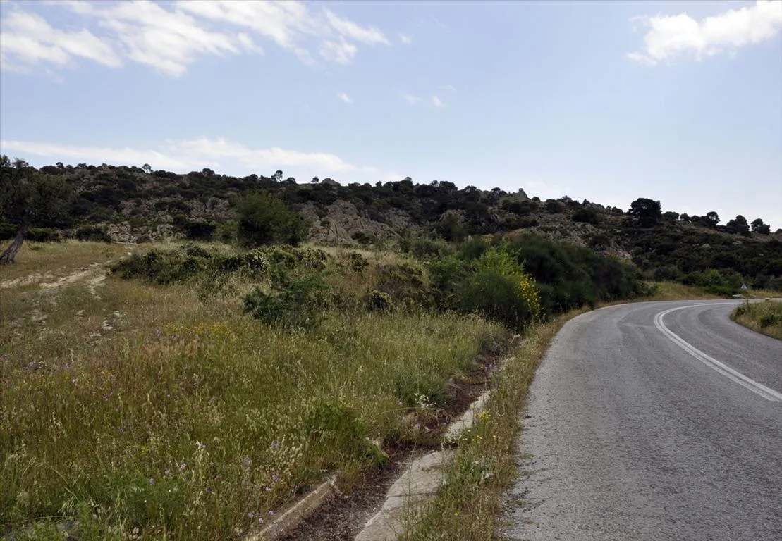 Οικόπεδο 4000τ.μ.  - 2