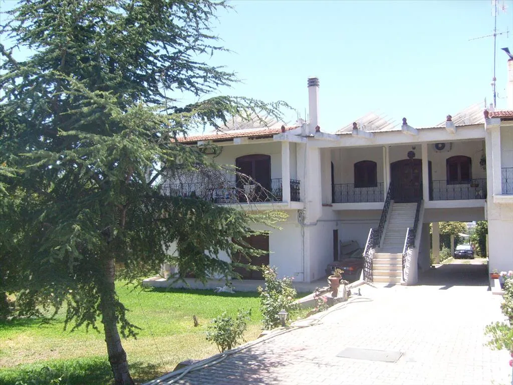Detached house 500m²  - 3