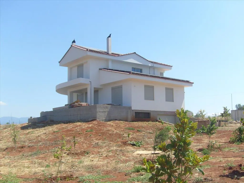 Detached house 600m²  - 2
