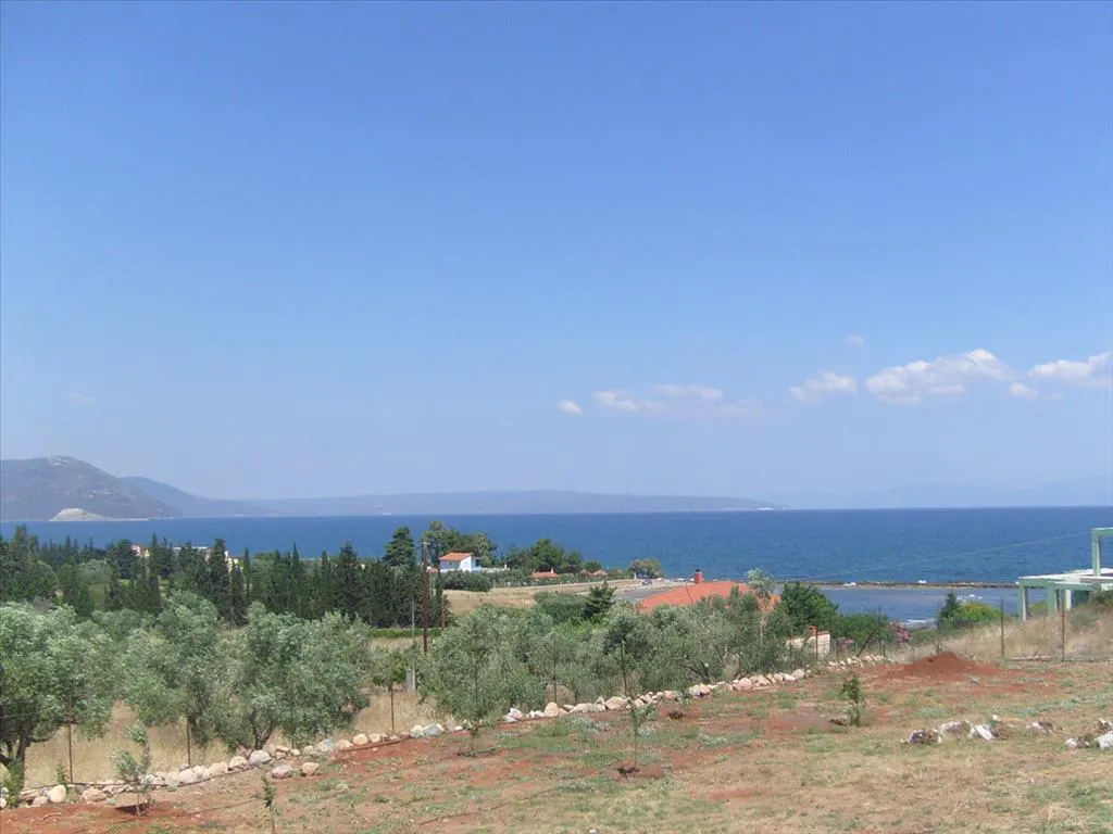 Detached house 600m²  - 5