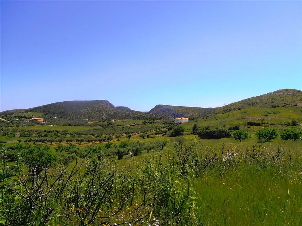 Plot 7000m²  - 2