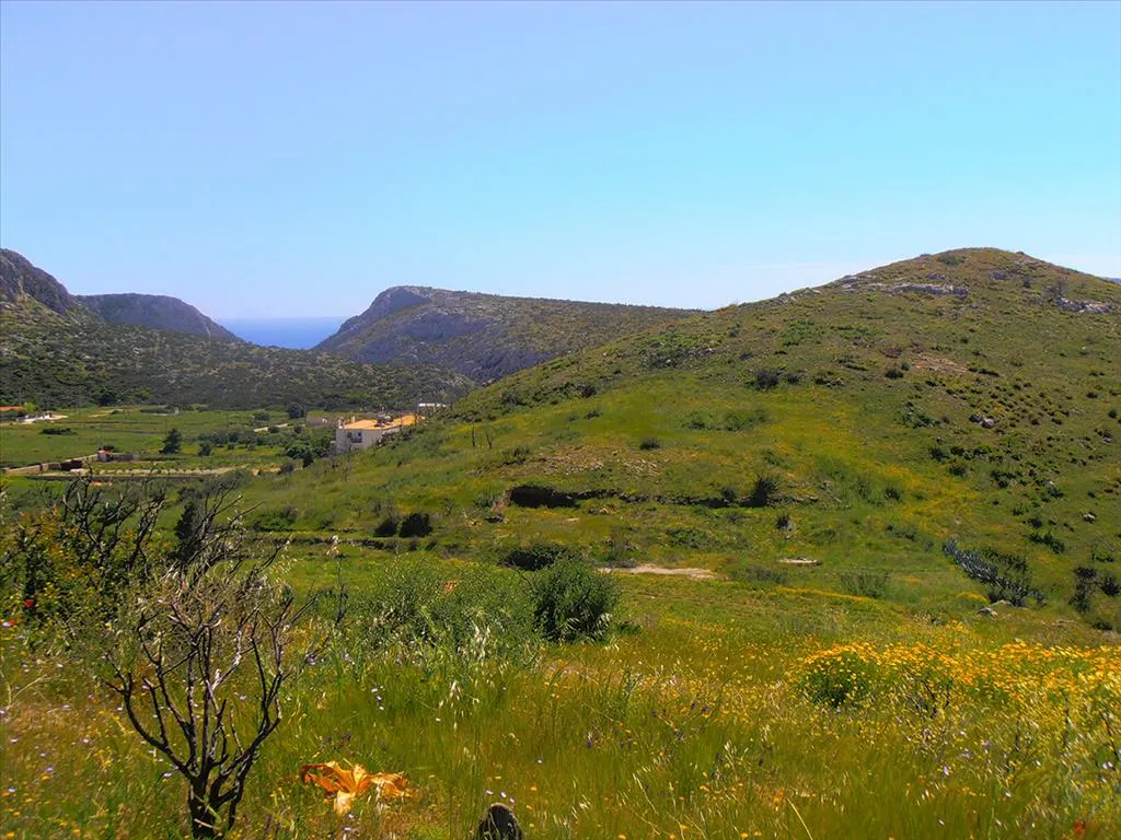 Plot 7000m²  - 4