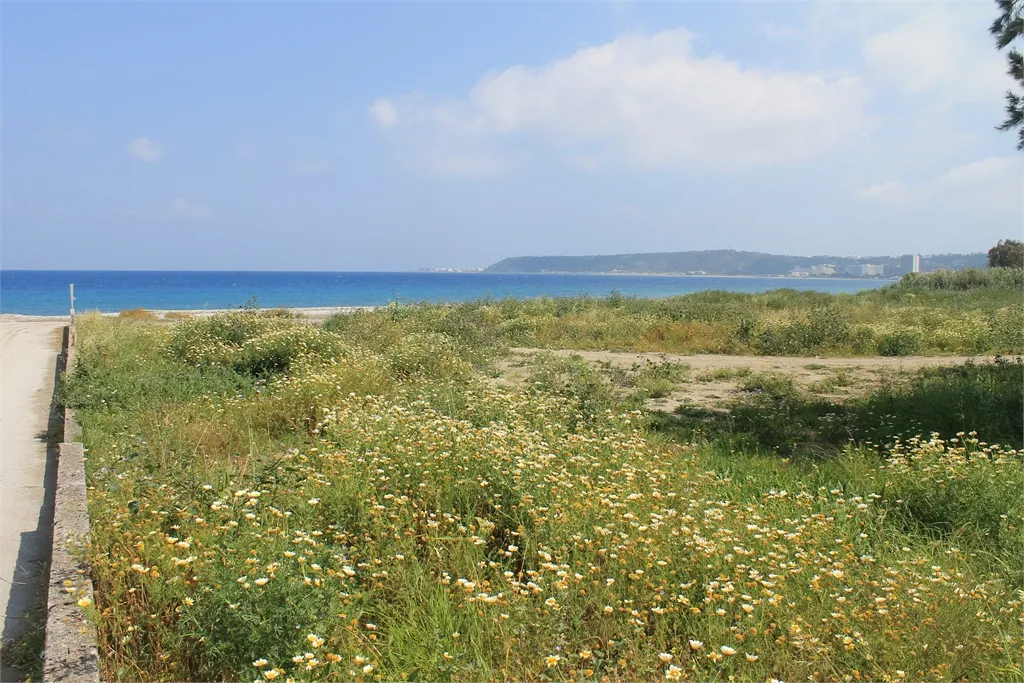 Plot 7800m²  - 4