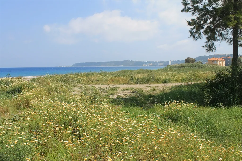 Plot 7800m²  - 5