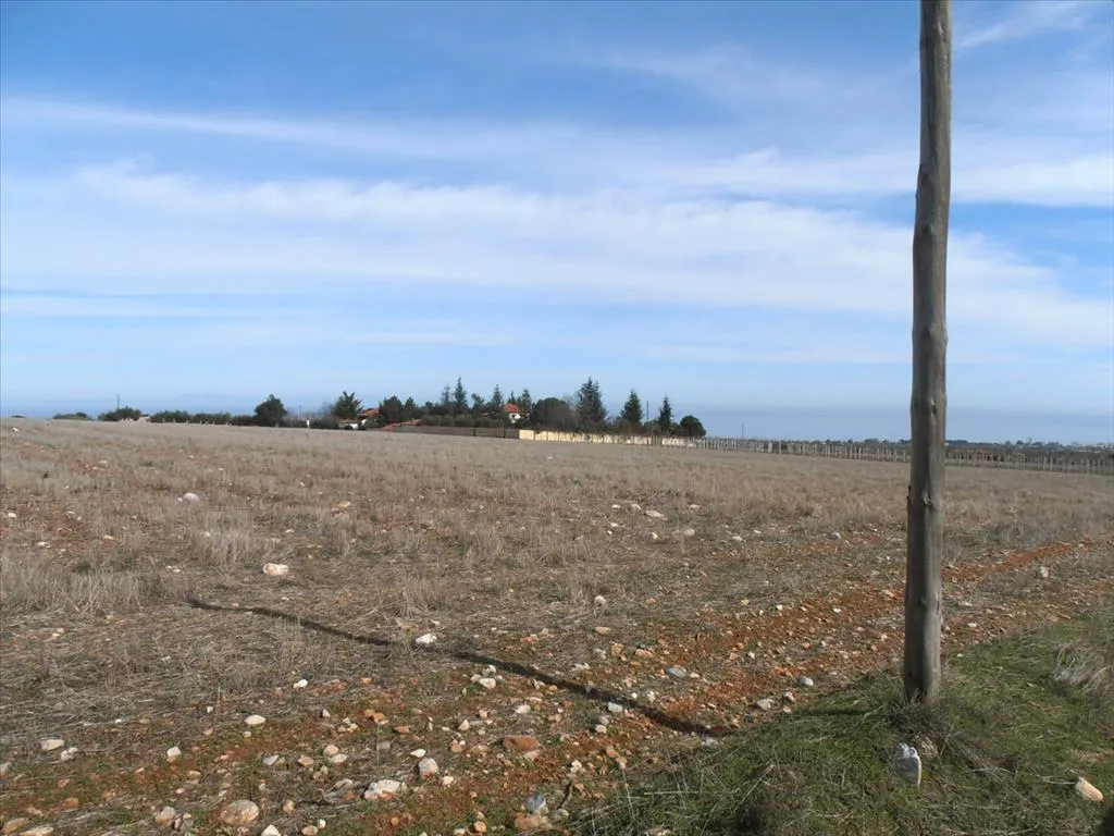 Plot 35000m²  - 2