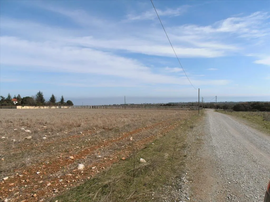 Plot 35000m²  - 3