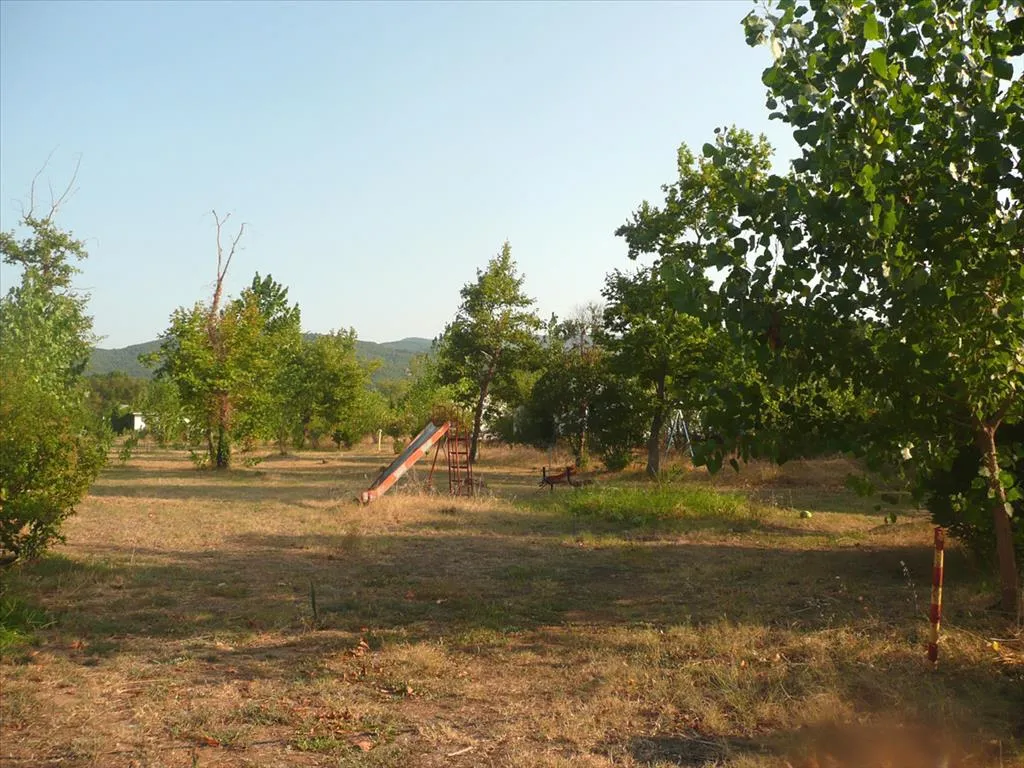 Οικόπεδο 18000τ.μ.  - 3