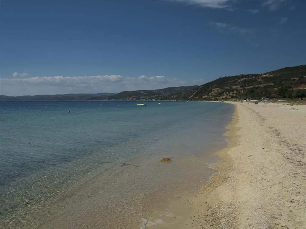 Οικόπεδο 7850τ.μ.  - 3