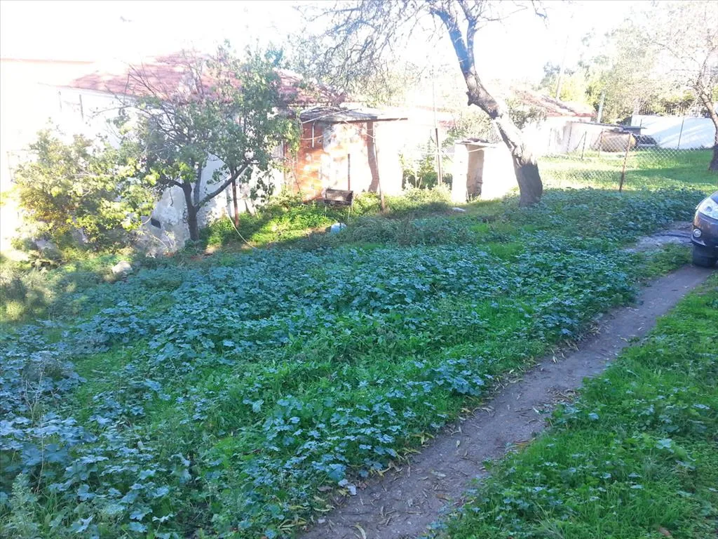 Οικόπεδο 400τ.μ.  - 3
