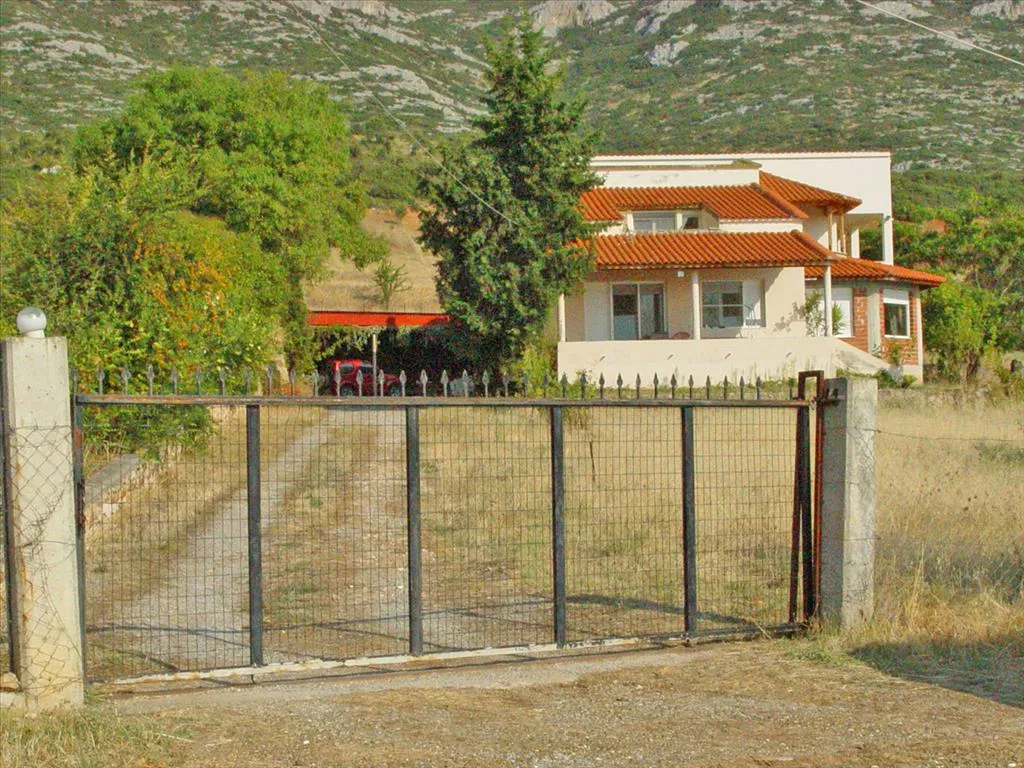 Μονοκατοικία 360τ.μ.  - 3