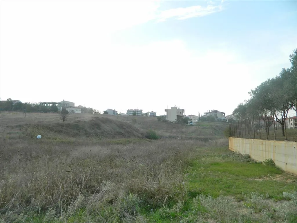 Plot 300m²  - 5